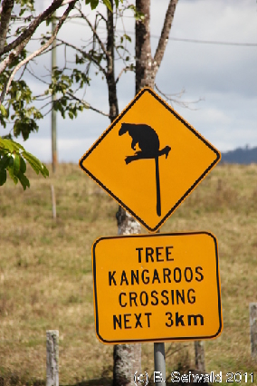 ATHERTONTABLELANDS20110725 125725