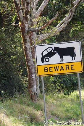 ATHERTONTABLELANDS20110725 133435