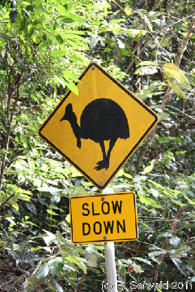 ATHERTONTABLELANDS20110725 135435