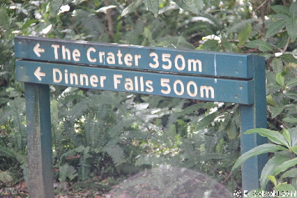 ATHERTONTABLELANDS20110725 135629