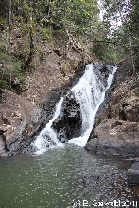 ATHERTONTABLELANDS20110725 140727