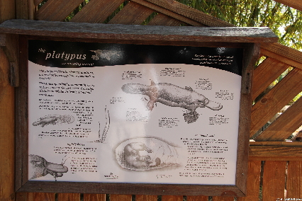 ATHERTONTABLELANDS20110725 151637