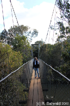ATHERTONTABLELANDS20110725 163123