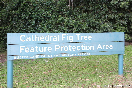 ATHERTONTABLELANDS20110725 172026