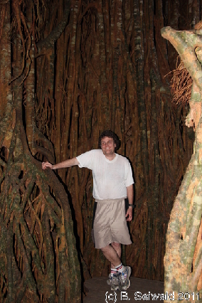 ATHERTONTABLELANDS20110725 173420