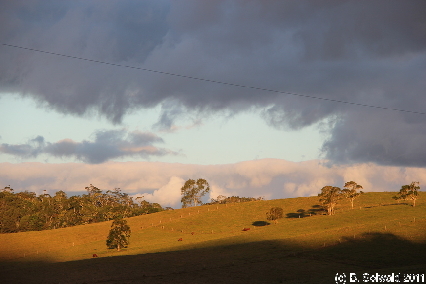 ATHERTONTABLELANDS20110725 174607