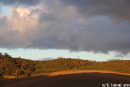 ATHERTONTABLELANDS20110725 174908