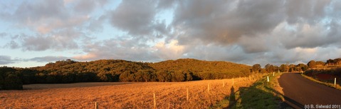ATHERTONTABLELANDS20110725 175042