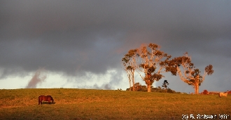 ATHERTONTABLELANDS20110725 175418