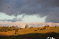 ATHERTONTABLELANDS20110725-174607