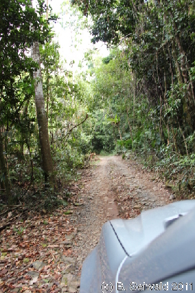 CAPETRIBULATION20110721 100315