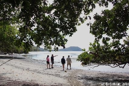 CAPETRIBULATION20110721 111910
