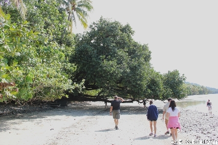 CAPETRIBULATION20110721 112001