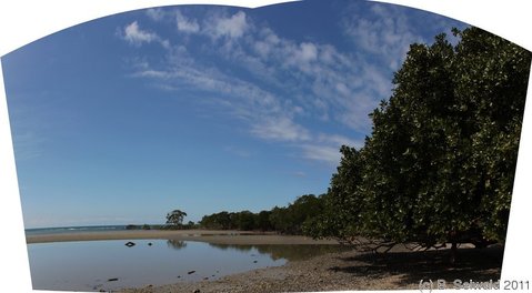 CAPETRIBULATION20110721 113703