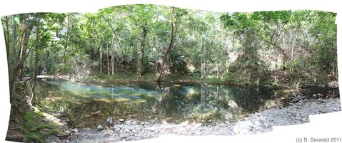 CAPETRIBULATION20110721 115128