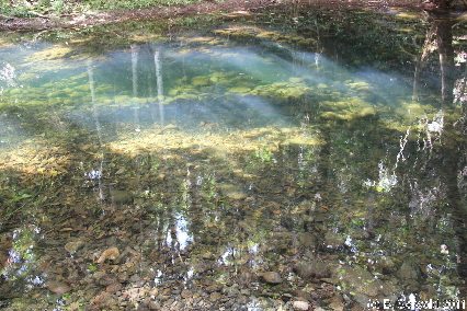 CAPETRIBULATION20110721 115358