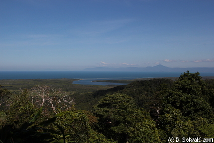 CAPETRIBULATION20110721 140508
