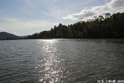 CAPETRIBULATION20110721 152913