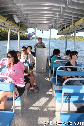 CAPETRIBULATION20110721 153504