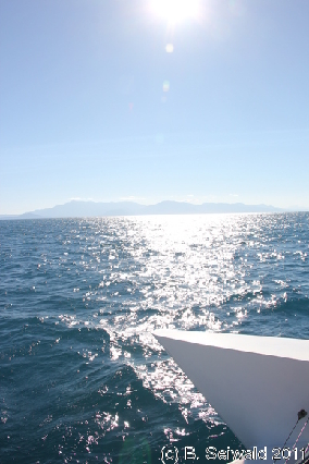 GREATBARRIER20110723 153833