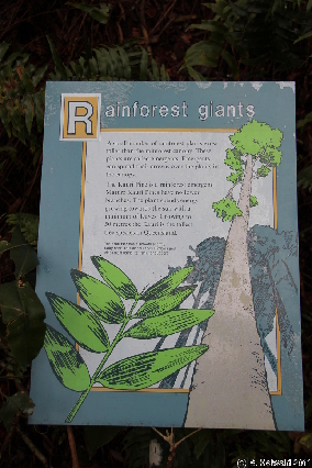 KURANDA20110727 114104