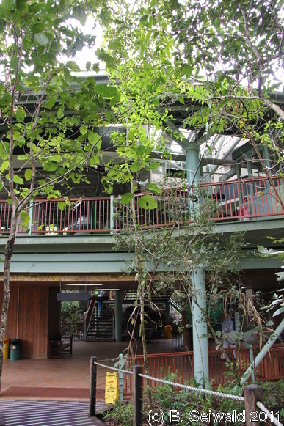 KURANDA20110727 114259