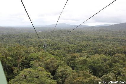 KURANDA20110727 114708