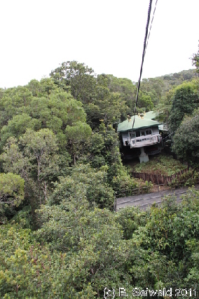 KURANDA20110727 115640