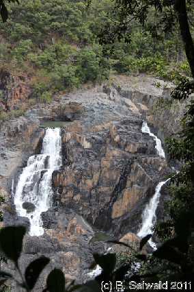 KURANDA20110727 115843