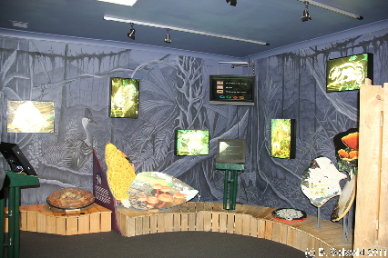 KURANDA20110727 120807