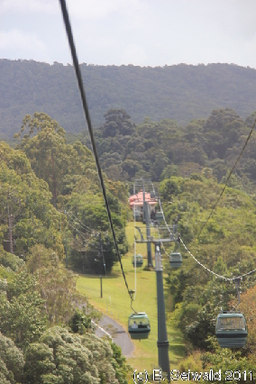 KURANDA20110727 121740