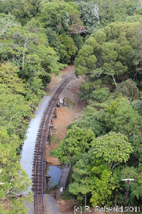 KURANDA20110727 121829