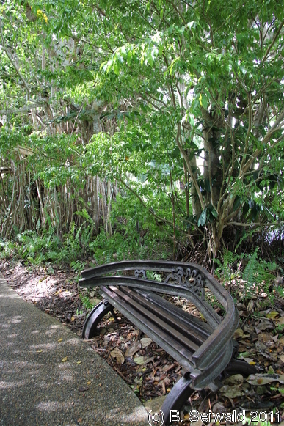 KURANDA20110727 122922