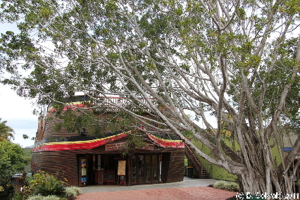 KURANDA20110727 124100