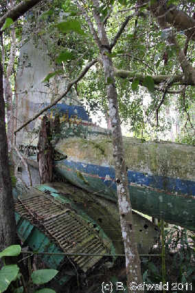 KURANDA20110727 125710