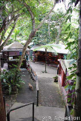 KURANDA20110727 135127