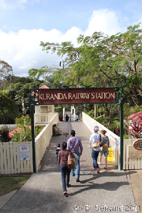 KURANDA20110727 151032