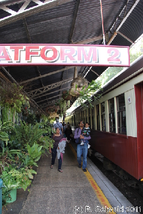 KURANDA20110727 151642