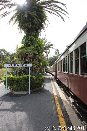 KURANDA20110727 152052