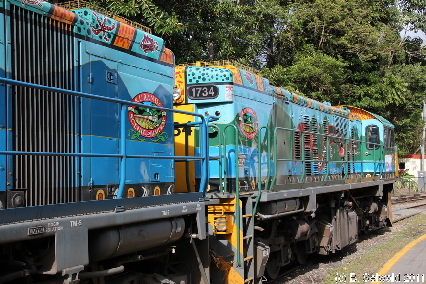 KURANDA20110727 152109