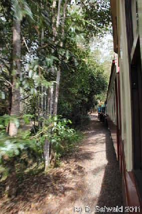 KURANDA20110727 153822