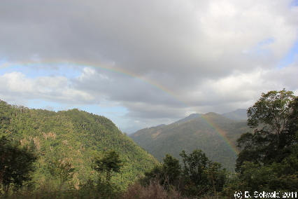 KURANDA20110727 155659
