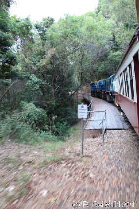KURANDA20110727 155854