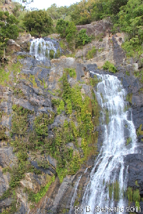 KURANDA20110727 162307
