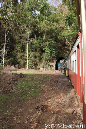 KURANDA20110727 162735