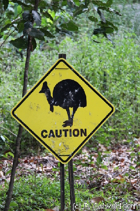 MOSSMANGORGE20110726 093720