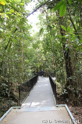 MOSSMANGORGE20110726 094537