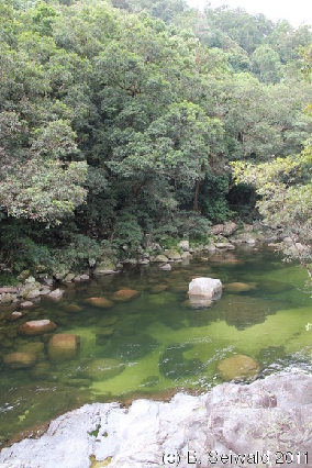 MOSSMANGORGE20110726 095008
