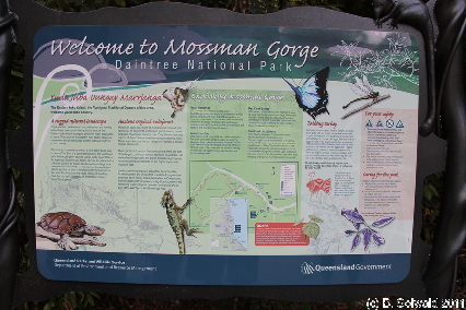 MOSSMANGORGE20110726 102252