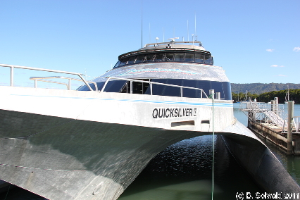 PORTDOUGLAS20110724 152219